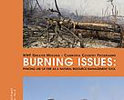 Burning Issue: Phnong use of fire as a natural resource management tool