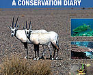 Annual report cover