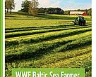 Many farmers are taking measures to reduce nutrient runoff from their farms on own initiative. With this award WWF wants to show how important their work is in making a difference to help save the Baltic Sea.