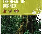 Financing the Heart of Borneo