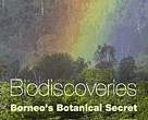 Biodiscovers in Borneo, cover