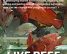 Cover of WWF Coral Triangle programme Live Reef Food Fish Trade strategy