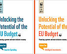 Unlocking the Potential of the EU Budget