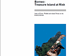 Treasure Island at Risk, cover