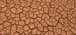 Dried-up lake due to drought, Patagonia, Argentina. Climate change is increasing the frequency of ... / ©: Michel GUNTHER / WWF-Canon / ©: Michel GUNTHER / WWF-Canon
