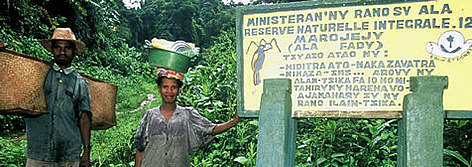 People with forest products crossing Betaolana forest corridor to visit Andapa. Transferring the ... / ©: WWF-Canon / Edward PARKER rel=