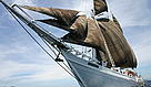 Check out for nature / &copy;: SEA TREK Sailing Adventures