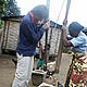 Me helping my host family's mother to crush rice, Ambodihasina, August 2006. © Antoine Beaulieu