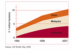 Increase in palm oil cultivation area / ©: Oil World / ©: Oil World