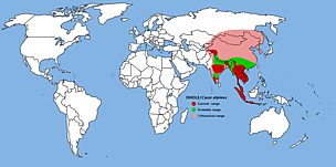 Dhole range. Red shows current range, green shows probable range and pink shows historic range. / ©: Wikimedia Commons / ©: Wikimedia Commons