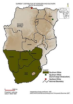 Distribution of white rhino in Africa / ©: WWF / ©: WWF