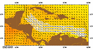 Animation of currents in the Caribbean Sea. / &copy;: G. Samuels, RSMAS. 2004