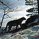 &copy; WWF-Russia / ISUNR