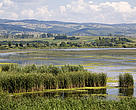Dunarea