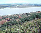 View of the Danube River. Tutrakan, Bulgaria.