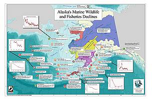  / &copy;: Alaska Oceans Program