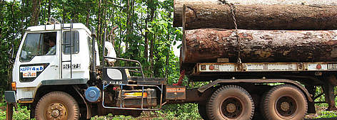 Logging truck in a protected area or southern Laos. / ©: Nicole Frisina / WWF Greater Mekong rel=