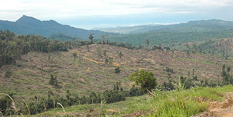 Cut down forest landscape in Sabah, North Borneo, Malaysia. / ©: WWF-Canon / A. Christy WILLIAMS Cut down forest landscape in Sabah, North Borneo, Malaysia. rel=