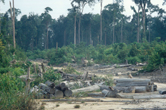  / &copy;: WWF-Germany / M. RADDAY
