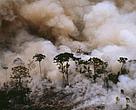 Vista aérea del Estado de Acre muestran los incendios forestales. Amazonia, Brasil