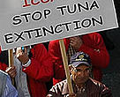 A man protests against the overfishing of Atlantic bluefin tuna in the Mediterranean.