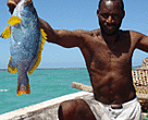 Fisherman showing one of the monitored fishes in the Total Marine Protected Zone of Ibo Island
