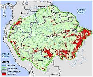 Deforestación en el bioma amazónico en base a datos del 2009 en Brasil y 2007-2008 en otros países. / ©: WWF / ©: WWF