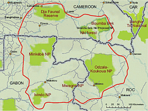 Dja-Minkébé-Odzala Tri-National (TRIDOM) Landscape / ©: CARPE / ©: CARPE