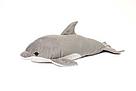 There are over 80 species of cetaceans, a group made up of whales, dolphins and porpoises ! / ©: Mimex / ©: Mimex