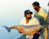 An Indus river dolphin (Platanista minor) being released as part of a dolphin rescue operation in ... / ©: WWF-Canon/ WWF-Pakistan/ Uzma Khan / ©: WWF-Canon/ WWF-Pakistan/ Uzma Khan