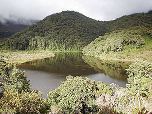 Complejo Volcanico Doña Juana–Casacabel National Park, Colombia. / ©: Sandra Liboria DÍAZ / PNN / ©: Sandra Liboria DÍAZ / PNN
