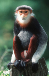  / &copy;: WWF-Canon / Martin HARVEY