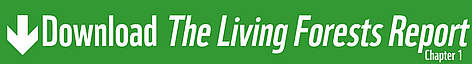 Download the Living Forests Report Chapter 1 / ©: WWF / ©: WWF