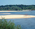 Gravel banks on the Drava that would be flooded by the Novo Virje reservoir.<BR>
