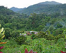 Drawa Village in the middle of the forest.