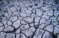 Cracked, dry earth is all that is left in many of the rivers and creeks as a result of extreme ... / ©: WWF-Canon / Adam Oswell / ©: WWF-Canon / Adam Oswell