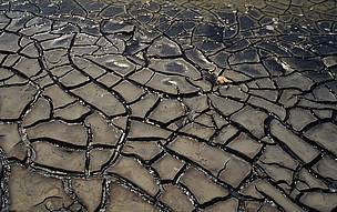 / ©: WWF-Canon / R.LEGUEN
Dried-up brackish swamp, Camargue, France / ©: WWF-Canon / R.LEGUEN
Dried-up brackish swamp, Camargue, France