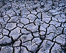 Persistent hot weather following months of low rainfall has resulted in drought in many parts of Europe.