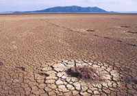 Drought-stricken land. / ©: WWF-Canon / Michel Gunther / ©: WWF-Canon / Michel Gunther