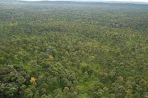 Learn more about WWF's Dry Forests Ecoregion Action Programme / ©: Nick Cox / WWF-Cambodia / ©: Nick Cox / WWF-Cambodia