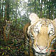 &copy; WWF/Christopher Wong