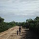 Ankirikiriky Highway © WWF / Margaux Tharin