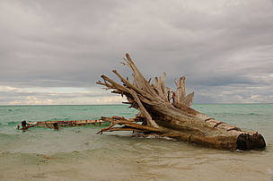 During lowtide, the sandbank can be exposed for 1km