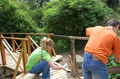 Реконструкция на инфраструктурата на Природен парк Златни пясъци / ©: WWF DCP BG archive Volunteers participate in WWF's National Day of Nature Parks in Zlatni Pyasatsi Nature Park, ... / ©: WWF DCP BG archive