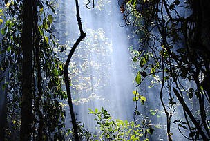  / &copy;: WWF Madagascar / Martina Lippuner