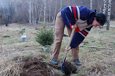 Доброволец засажда Коледни дръвчета на Витоша / ©: WWF/Konstantin Ivanov Volunteers plant Christmas trees in pots in Vitosha Nature Park, Bulgaria, 11 April 2009 / ©: WWF/Konstantin Ivanov