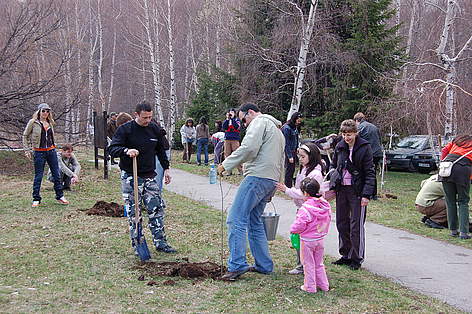 Volunteers planting Christmas trees in pots, Vitosha Nature Park, Bulgaria, 11 April 2009 / &copy;: WWF/Konstantin Ivanov