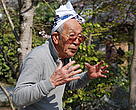 Toemon Sano is the 16th generation of cherry blossom guardain in Kyoto
