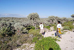 Walking in the spiny forest of Mahafaly Plateau / ©: WWF / Martina Lippuner / ©: WWF / Martina Lippuner