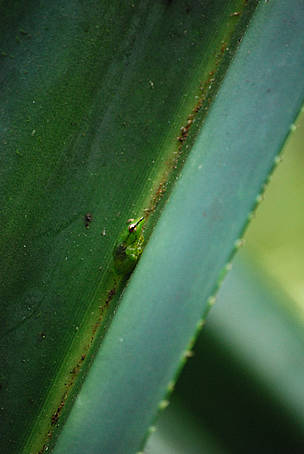  / &copy;: WWF Madagascar / Martina Lippuner